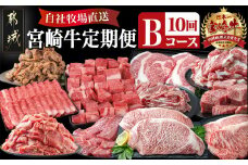 宮崎牛定期便(10回お届け) Bコース_T80(10)-2502_(都城市) 宮崎牛 肩ロース サーロイン モモ ロース バラ カルビ 赤身 リブロース スライス ステーキ サイコロ 切り落とし 鉄板焼き 味噌漬け