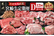 宮崎牛定期便(12回お届け) Dコース_T100(12)-2501_(都城市) 宮崎牛 リブロース 肩ロース サーロイン モモ ロース バラ カルビ 味噌漬け 赤身 ミスジ スライス ステーキ サイコロ 切り落とし 鉄板焼き 