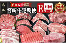 宮崎牛定期便(6回お届け) Eコース_TAI6-2501_(都城市) 宮崎牛 ウデ モモ バラ カルビ リブロース 肩ロース サーロイン スライス 切り落とし ブロック 焼肉 ステーキ