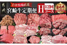 宮崎牛定期便(12回お届け) Hコース_TAI12-2501_(都城市) 宮崎牛 肩ロース ウデ モモ バラ ロース サーロイン カルビ リブロース 味噌漬け スライス 切り落とし ブロック サイコロ 鉄板焼き ステーキ しゃぶしゃぶ 