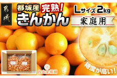 【先行受付！】【2月～3月お届け】都城産完熟きんかん 家庭用2kg (Lサイズ)_11-B503_(都城市) 都城産 完熟きんかん きんかん Lサイズ 約2kg 柑橘類 2月～3月お届け 家庭用