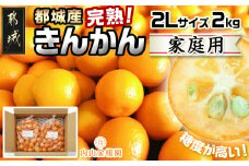 【先行受付！】【2月～3月お届け】都城産完熟きんかん 家庭用2kg (2Lサイズ)_13-B501_(都城市) 都城産 完熟きんかん きんかん 2Lサイズ 約2kg 柑橘類 2月～3月お届け 家庭用