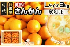 【先行受付！】【2月～3月お届け】都城産完熟きんかん 家庭用3kg (Lサイズ)_14-B501_(都城市) 都城産 完熟きんかん きんかん Lサイズ 約3kg 柑橘類 2月～3月お届け 家庭用