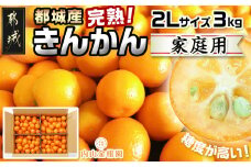 【先行受付！】【2月～3月お届け】都城産完熟きんかん 家庭用3kg (2Lサイズ)_18-B501_(都城市) 都城産 完熟きんかん きんかん 2Lサイズ 約3kg 柑橘類 2月～3月お届け 家庭用