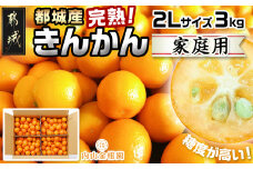 【先行受付！】【2月～3月お届け】都城産完熟きんかん 家庭用3kg (2Lサイズ)_18-B501_(都城市) 都城産 完熟きんかん きんかん 2Lサイズ 約3kg 柑橘類 2月～3月お届け 家庭用