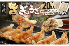 しいたけ屋さんの旨ぎょうざ_AA-M101_(都城市)  ぎょうざ 旨餃子 都城産 しいたけ 豚肉 20個入り×2 椎茸たっぷり 焼き餃子 蒸し餃子 揚げ餃子