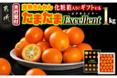 《先行受付!》 完熟きんかん「たまたま Excellent」1kg (化粧箱入)_AC-0113_(都城市) みやざきブランド 完熟きんかん たまたま 糖度18度以上 2L(直径3.2cm)以上 Excellent 専用化粧箱入り