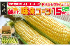 【先行受付】朝どれ!!都城産スイートコーン(味来コーン)5kg 15本以上_12-B401-6_(都城市) 朝どれ とうもろこし スイートコーン 5キロ 約15本以上 産地直送 みずみずしい あまい 