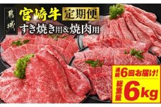 ≪6回連続お届け≫宮崎牛赤身霜降り食べ比べ定期便M(総重量6kg)_T102-6-N201_(都城市) 宮崎牛 スライス 焼肉 2種セット 肩ロース ウデ又はモモ
