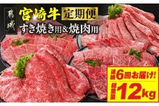 ≪6回連続お届け≫宮崎牛赤身霜降り食べ比べ定期便L(総重量12kg)_T192-6-N201_(都城市) 宮崎牛 スライス 焼肉 2種セット 肩ロース ウデ又はモモ