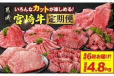 ≪6回連続お届け≫いろんなカットが楽しめる宮崎牛定期便M(総重量4.8kg)_T100-6-N201_(都城市)  宮崎牛 牛肉 肉 肩ロース ウデまたはモモ ロース 焼肉 すき焼き しゃぶしゃぶ ステーキ ミヤチク