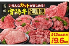 ≪12回連続お届け≫いろんなカットが楽しめる宮崎牛定期便M(総重量9.6kg)_T200-12-N201_(都城市)  宮崎牛 牛肉 肉 肩ロース ウデまたはモモ ロース 焼肉 すき焼き しゃぶしゃぶ ステーキ ミヤチク