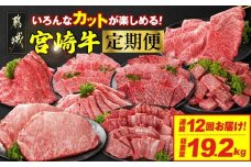 ≪12回連続お届け≫いろんなカットが楽しめる宮崎牛定期便L(総重量19.2kg)_T358-12-N201_(都城市)  宮崎牛 牛肉 肉 肩ロース ウデまたはモモ ロース 焼肉 すき焼き しゃぶしゃぶ ステーキ ミヤチク