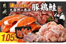 ≪肉×魚≫小分け3種セット(豚切り落とし250g・鶏モモカット済300g・銀鮭500g)_AA-8413_(都城市) 小分けパック 冷凍 お弁当 おかず