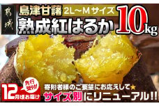 先行受付!【12月お届け】島津甘藷　熟成紅はるか 10kg(2L～M)_AA-A701-12_(都城市) 島津甘藷 紅はるか 未選別 10kg 2L～M
