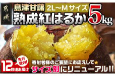先行受付!【12月お届け】島津甘藷　熟成紅はるか 5kg(2L～M)_LD-A701-12_(都城市) 島津甘藷 紅はるか サツマイモ 未選別 5kg 2L～M
