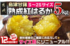 先行受付!【12月お届け】島津甘藷　熟成紅はるか 5kg(S～2S)_LD-A701-m-12_(都城市) 島津甘藷 紅はるか サツマイモ 未選別 5kg S～2S おやつ お菓子作り 料理