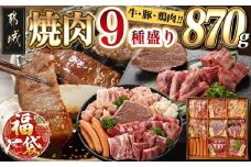 【福袋★2026】焼肉9種盛り(870g)_AF-2603-F2026_( 都城市 ) 国産 宮崎県 黒毛和牛 牛肉 宮崎牛 焼肉 ヒレ カルビ 中落 ホルモン ブランドポーク バラ 肩ロース 若鶏 もも ハラミ ウインナー ギフト