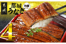宮崎県育ちのうなぎ蒲焼4尾720g以上≪山椒・たれ付≫_AD-M301_(都城市) うなぎ蒲焼(有頭) 宮崎県産 真空 山椒・たれ付