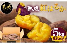 【農家直送】山下農園　熟成紅はるか 5kg_LD-I704_(都城市) 紅はるか 5kg 山下農園 さつまいも 