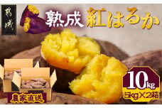 【農家直送】山下農園　熟成紅はるか 10kg_AA-I705_(都城市) 紅はるか 山下農園 さつまいも 