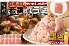 宮崎県産若鶏ハラミ3kg_12-M606_(都城市) 宮崎県産若鶏 ハラミ 300g×10 希少部位 真空パック 真空冷凍 炭火焼 焼肉等炒め料理 小分け