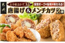 お手軽おかず3種≪唐揚げ&メンチカツプレーン・チーズ≫セット_AA-9235_(都城市) 