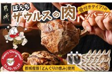 【☆クリスマス☆】ぼんちザウルスの肉10本セット(骨付きハンバーグ)≪12月20日～23日お届け≫_AC-J904-OJX_ (都城市) 都城産 ブランド豚 どんぐりの恵 骨付きハンバーグ まんが肉 10本セット 湯煎