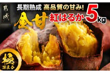都城産 長期熟成紅はるか 5kg_AA-I202_(都城市) 都城産さつまいも 熟成紅はるか 5kg 長期熟成 スイーツ