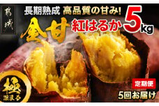 【5回お届け!】都城産 長期熟成紅はるか 5kg 定期便_TAA5-I201_(都城市) 