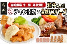 一口チキン南蛮&和牛入り合挽ハンバーグセット_AA-9236_(都城市) 