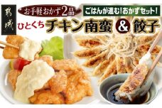 お手軽おかず2種≪一口チキン南蛮&餃子≫セット_AA-9237_(都城市) 