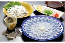 とらふぐ刺身セット とらふぐ刺し とらふぐ本皮刺し とらふぐ干しヒレ フグ 干しひれ N013-YZC001