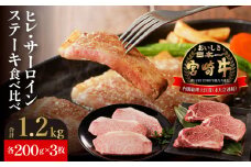 ヒレ・サーロインステーキセット各200g×3枚 N023-YZF004