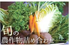 北方旬の農作物詰め合わせセット　N020-YZA409