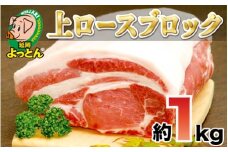 延岡よっとん上ロースブロック約1kg 国産 豚 上ロース ブロック 抗菌性飼料添加物フリー ロース ポークステーキ 生姜焼き とんかつ トンテキ 豚丼 甘い ジューシー 美味しい 冷蔵 EM豚 豚肉 お肉 宮崎県 延岡市 吉玉畜産 お取り寄せ お取り寄せグルメ 送料無料 N003-YZA325