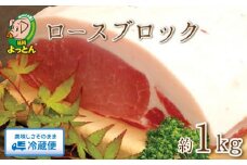 延岡よっとんロースブロック約1kg N003-YZA326-1