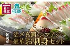 【冷蔵】延岡産活〆真鯛とシマアジの豪華お刺身セット N019-YZC804