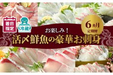 【お楽しみ定期便】延岡産活〆鮮魚の豪華 お刺身 6ヶ月定期便 鮮魚 延岡産 刺身 ヒラメ 真鯛 カンパチ 季節 魚 ブリ ハマチ 国産 昆布〆 おつまみ カルパッチョ 鮮魚 魚介類 食品 冷蔵 請関水産 グルメ お取り寄せ 宮崎県 延岡市 送料無料 N019-YF073