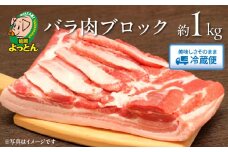 延岡よっとん バラブロック約1kg N003-YA968