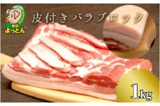 延岡よっとん皮付バラブロック約1kg N003-YZA329
