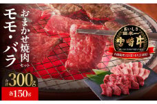 延岡育ちの宮崎牛おまかせ焼肉セット N023-YZA304