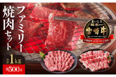 宮崎牛・宮崎ブランドポーク焼肉各500g N023-YZC019