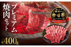 宮崎牛焼肉セット N023-YZB101