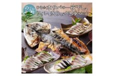 ひむか本ｻﾊﾞの一夜干し､ﾌｨﾚ､炙り､〆さばのｾｯﾄ N025-YB533