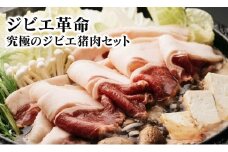 ジビエ革命〜究極のジビエ猪肉セット N028-YZA508
