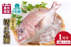 【冷蔵】延岡産活〆鮮魚職人技の脱血鮮魚真鯛１尾分（内臓エラ取り）【最短10日後以降発送可】真鯛 魚介 チルド冷蔵 旬 国産 宮崎県延岡市 送料無料 請関水産 N019-YA758