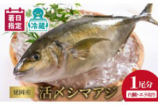 【冷蔵】延岡産活〆鮮魚職人技の脱血鮮魚シマアジ N019-YB823