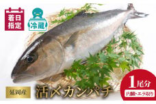 【冷蔵】延岡産活〆鮮魚職人技の脱血鮮魚カンパチ１尾（内臓エラ取り） N019-YZD0118