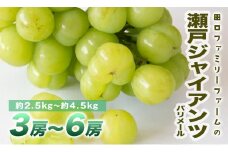 【田口ﾌｧﾐﾘｰﾌｧｰﾑ】パリメール(瀬戸ジャイアンツ)3房~6房(約2.5kg~約4.5kg) N053-YZD0142